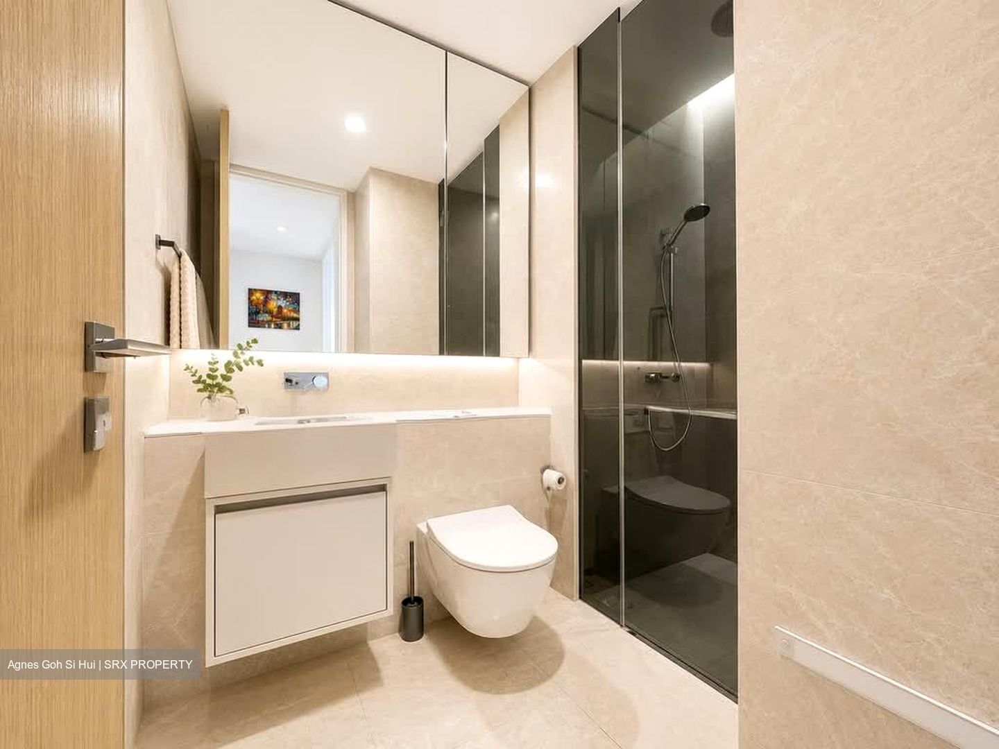 Amber Park (D15), Condominium #606470551